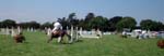 Dun Laoghaire Horse Show