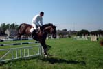Dun Laoghaire Horse Show