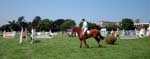 Dun Laoghaire Horse Show