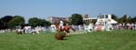 Dun Laoghaire Horse Show