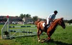 Dun Laoghaire Horse Show